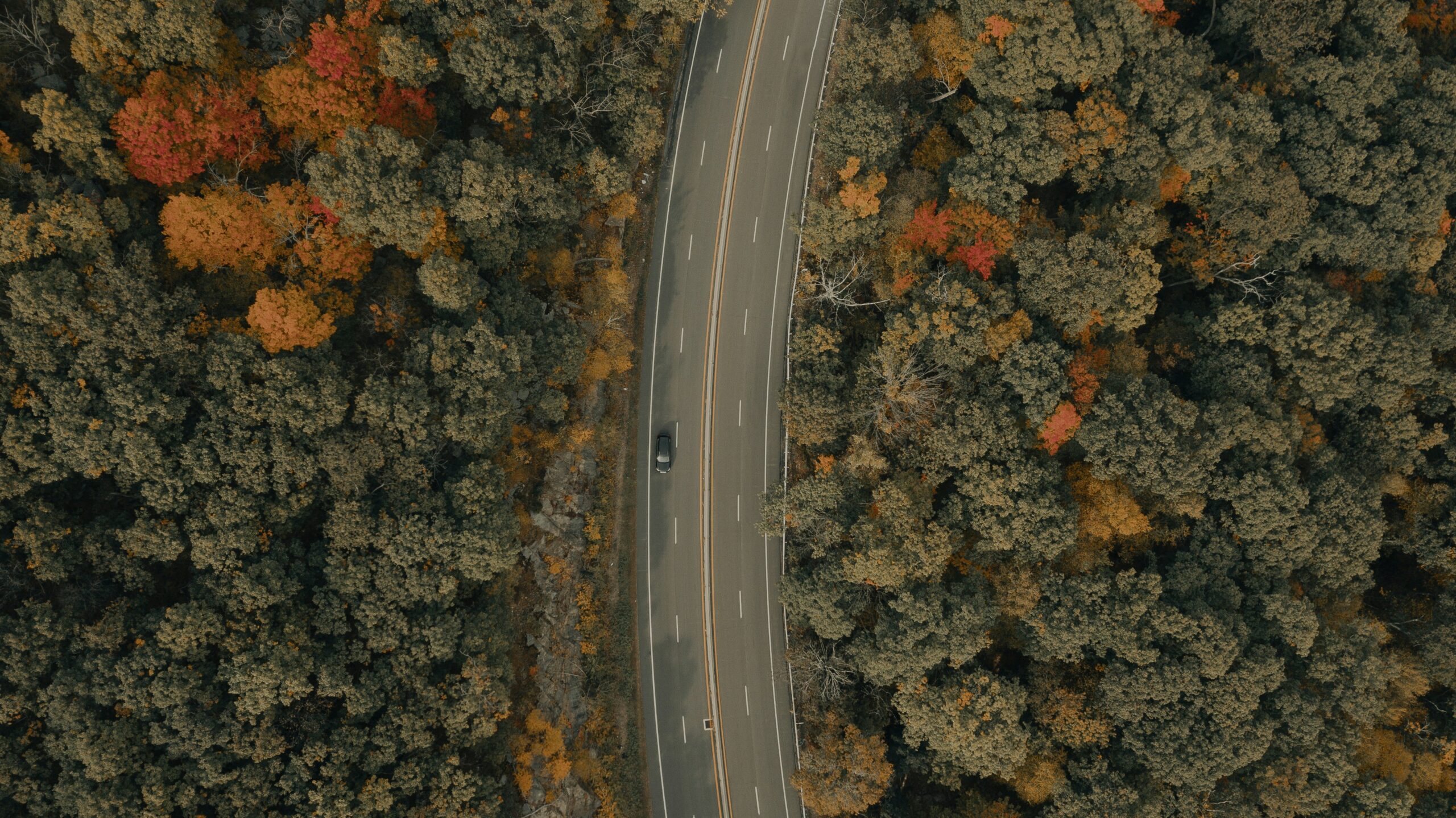 These 25 road trip questions will give couples insight into travel compatibility. 
pictured: an aerial view of a long road surrounded by a forest with autumn leaves and a single car 