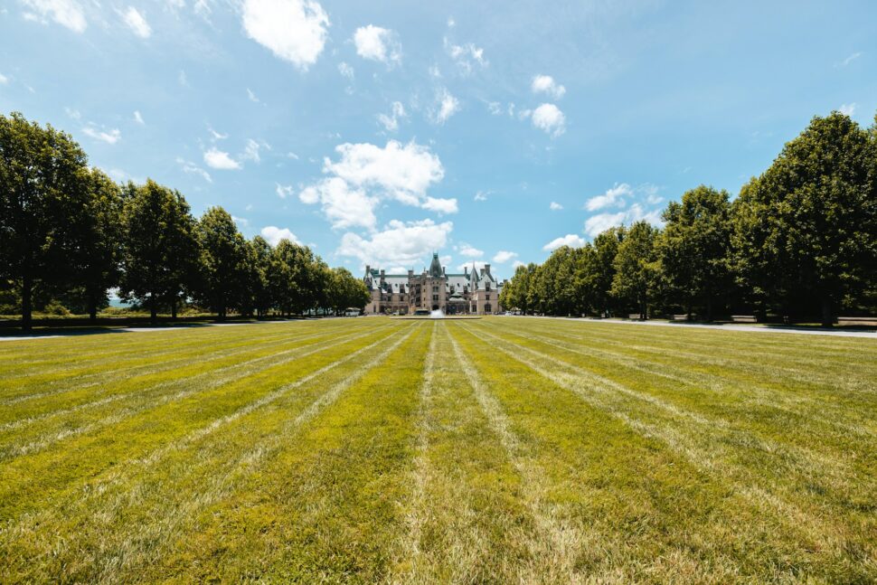 The lawn of the Biltmore Estate