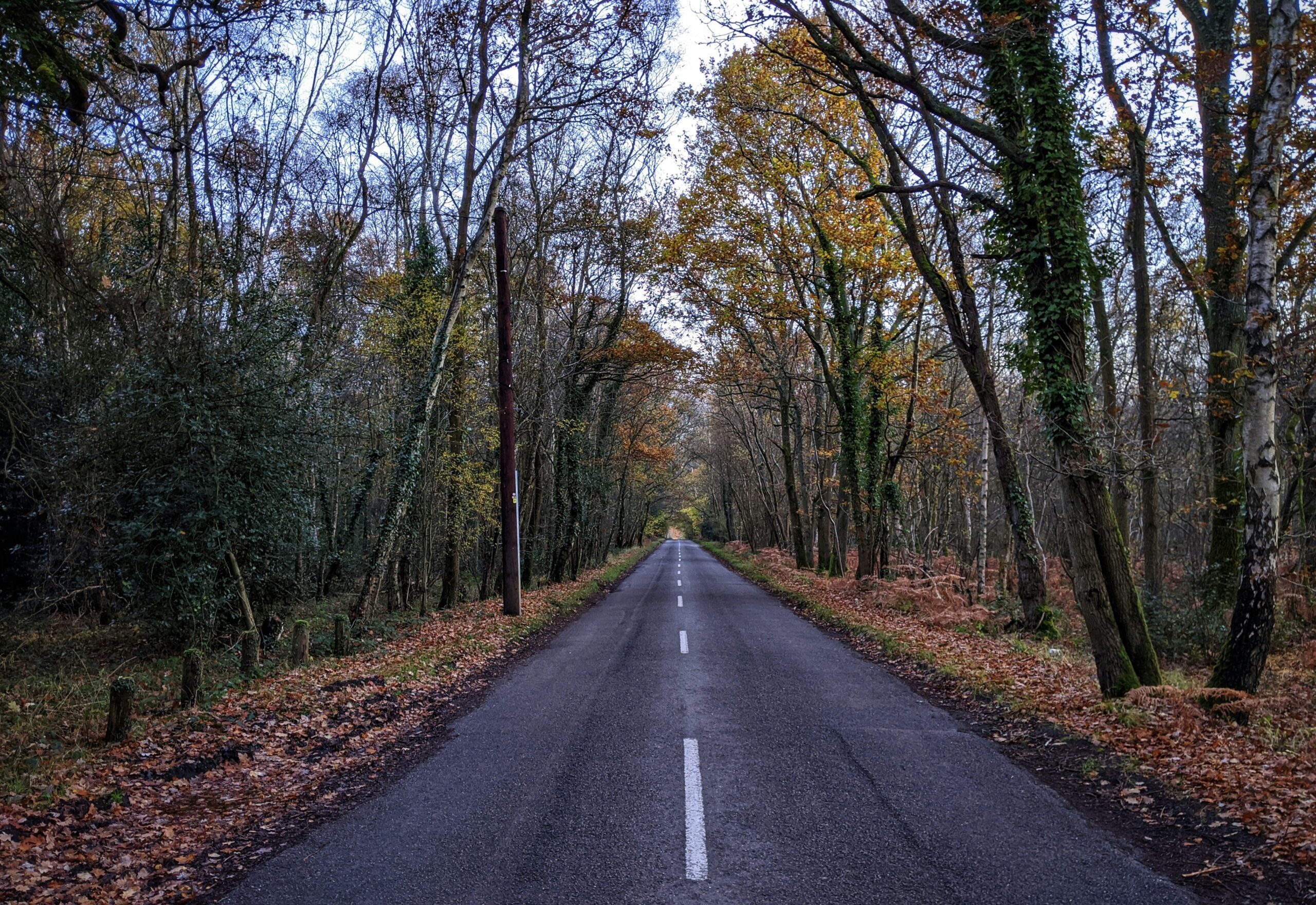 Guildford is a filming location of the series "The Gentlemen" on Netflix. 
pictured: a road in the English countryside during fall 