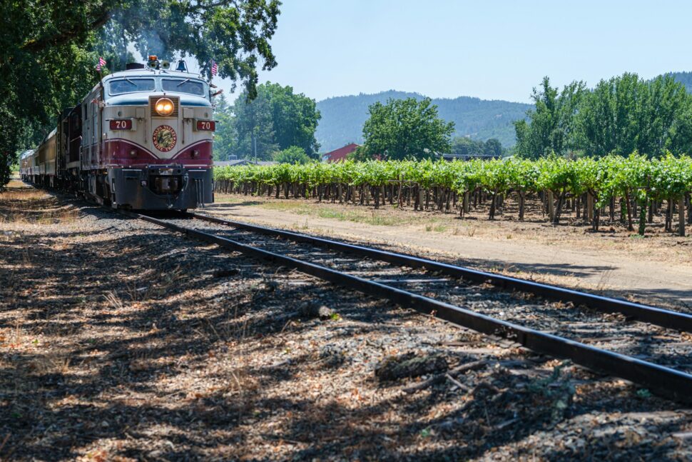 train going through the vineyards of Napa Valley