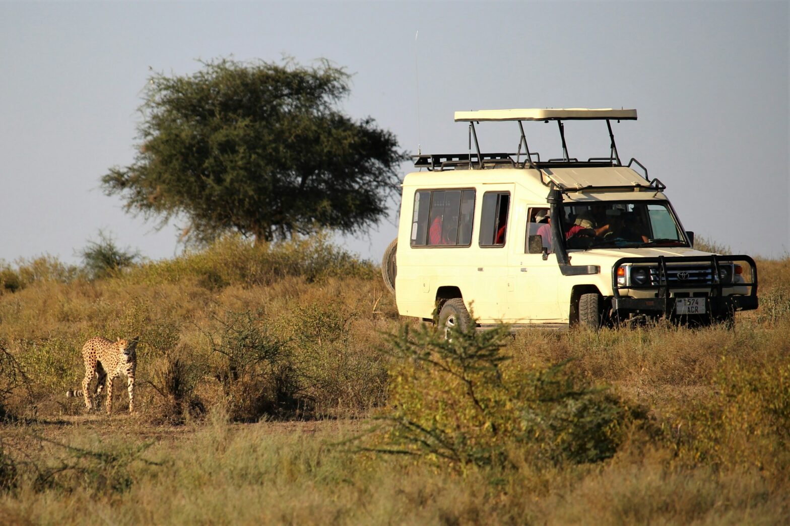 10 Best African Safari Countries for First Time or Experienced Adventurers