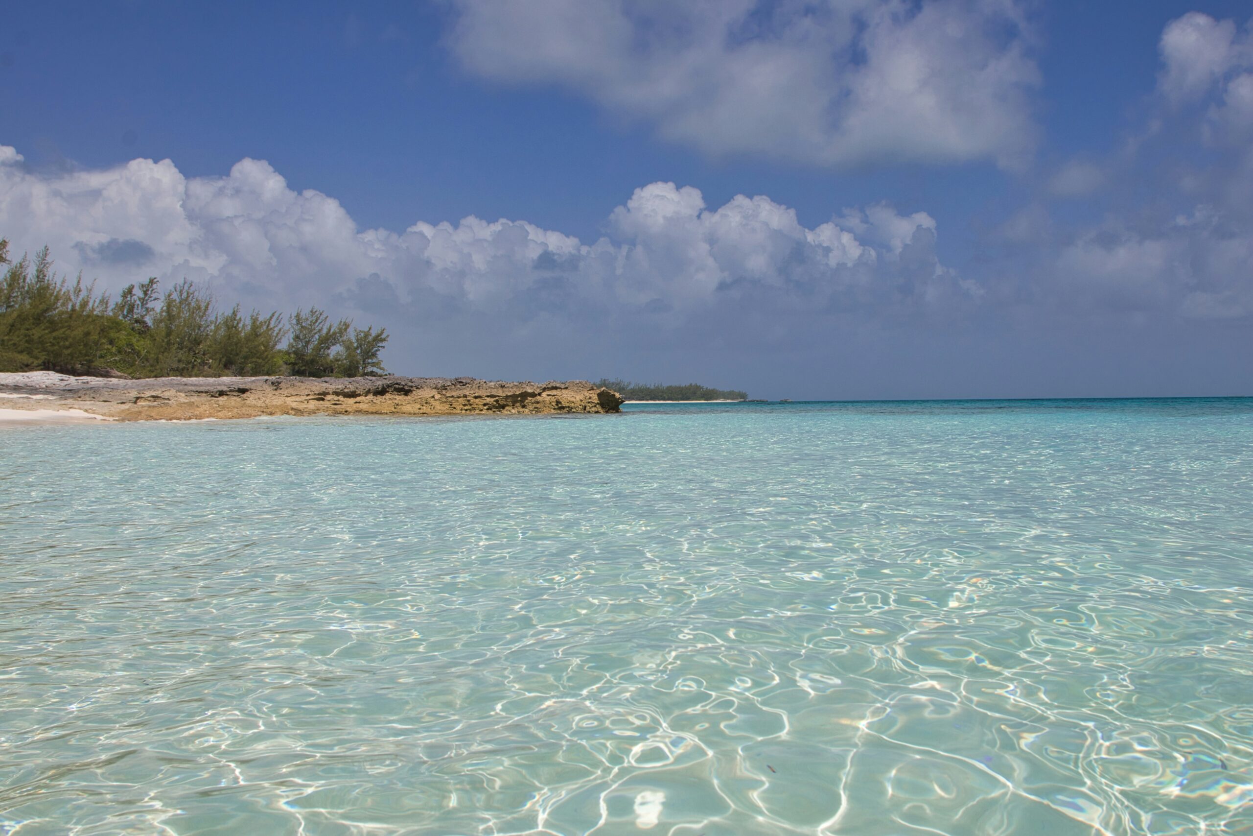 Learn more about the island with flesh eating bacteria that led to a woman losing her leg in the Bahamas.
pictured: the crystal clear waters of Pig Island in the Bahamas
