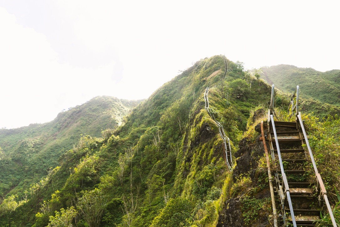 Learn more about why the Stairway to Heaven is being removed. The illegal Hawaii hike will be gone soon. 
pictured: the rickety Stairway to Heaven stairs surrounded by lush green nature