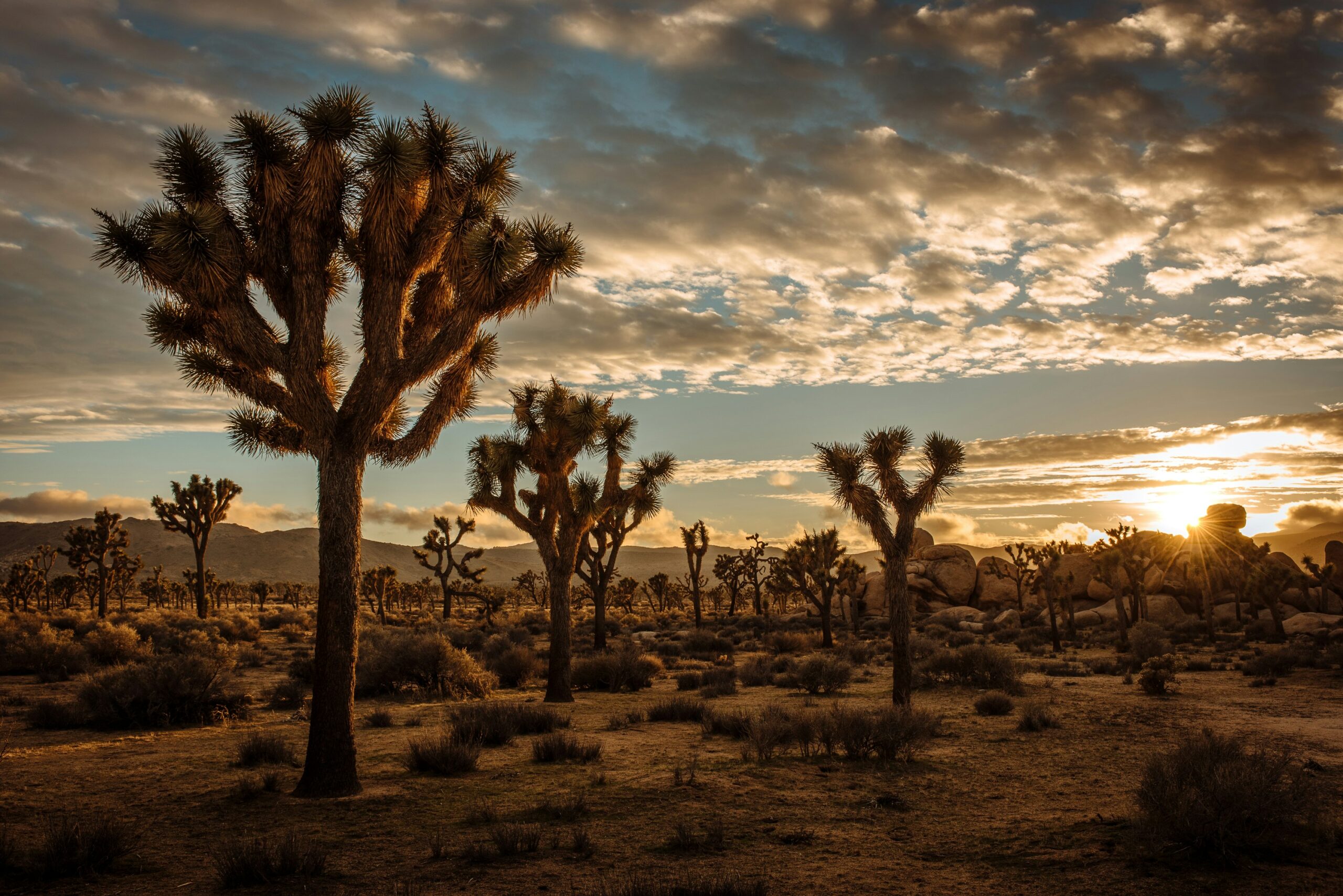 These are the coolest things to do near Coachella.
pictured: the desert near Coachella