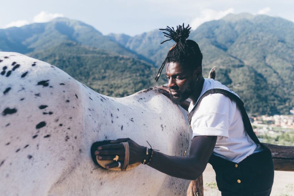 man grooming a white horse