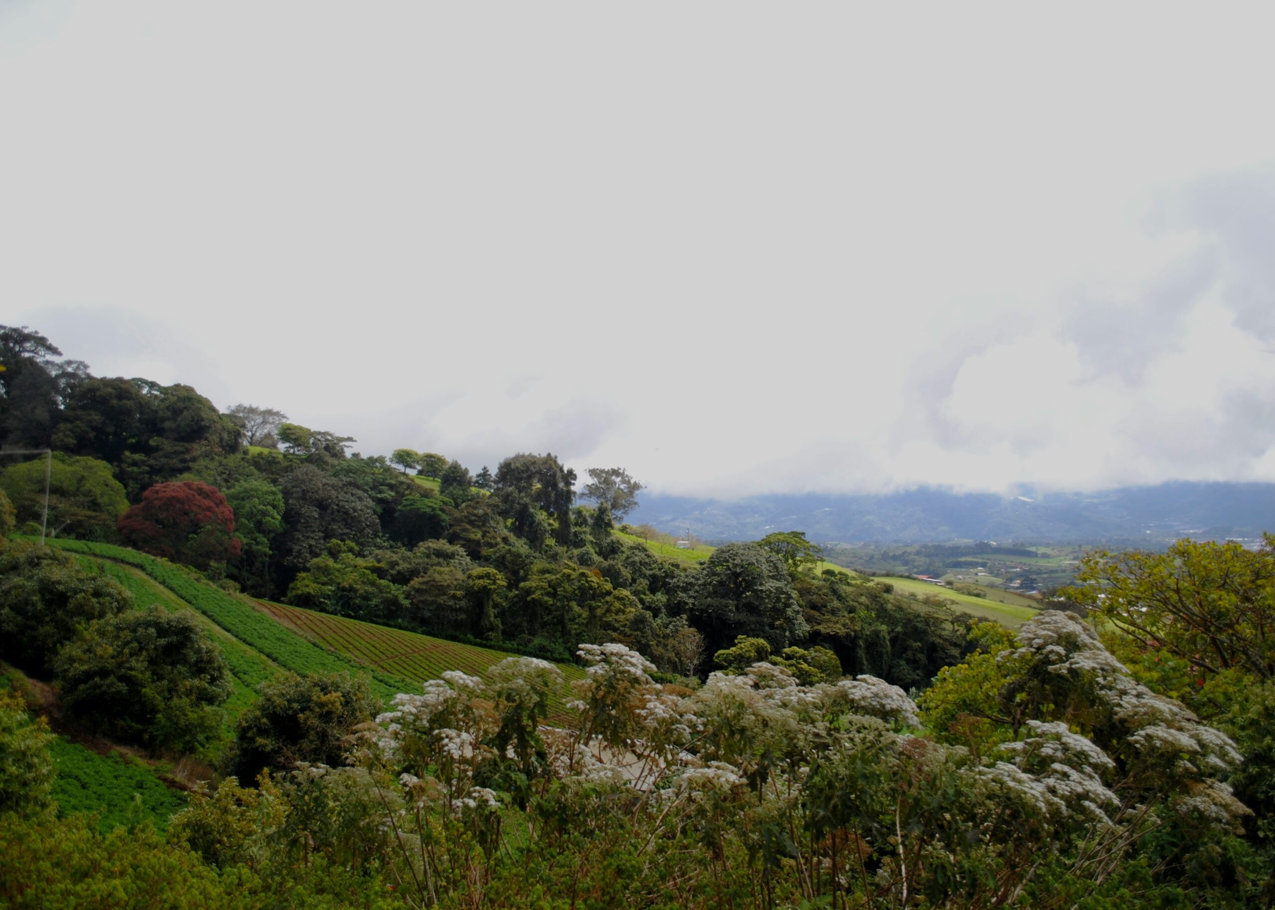 a lush green mountain on a cloudy day in Costa Rica