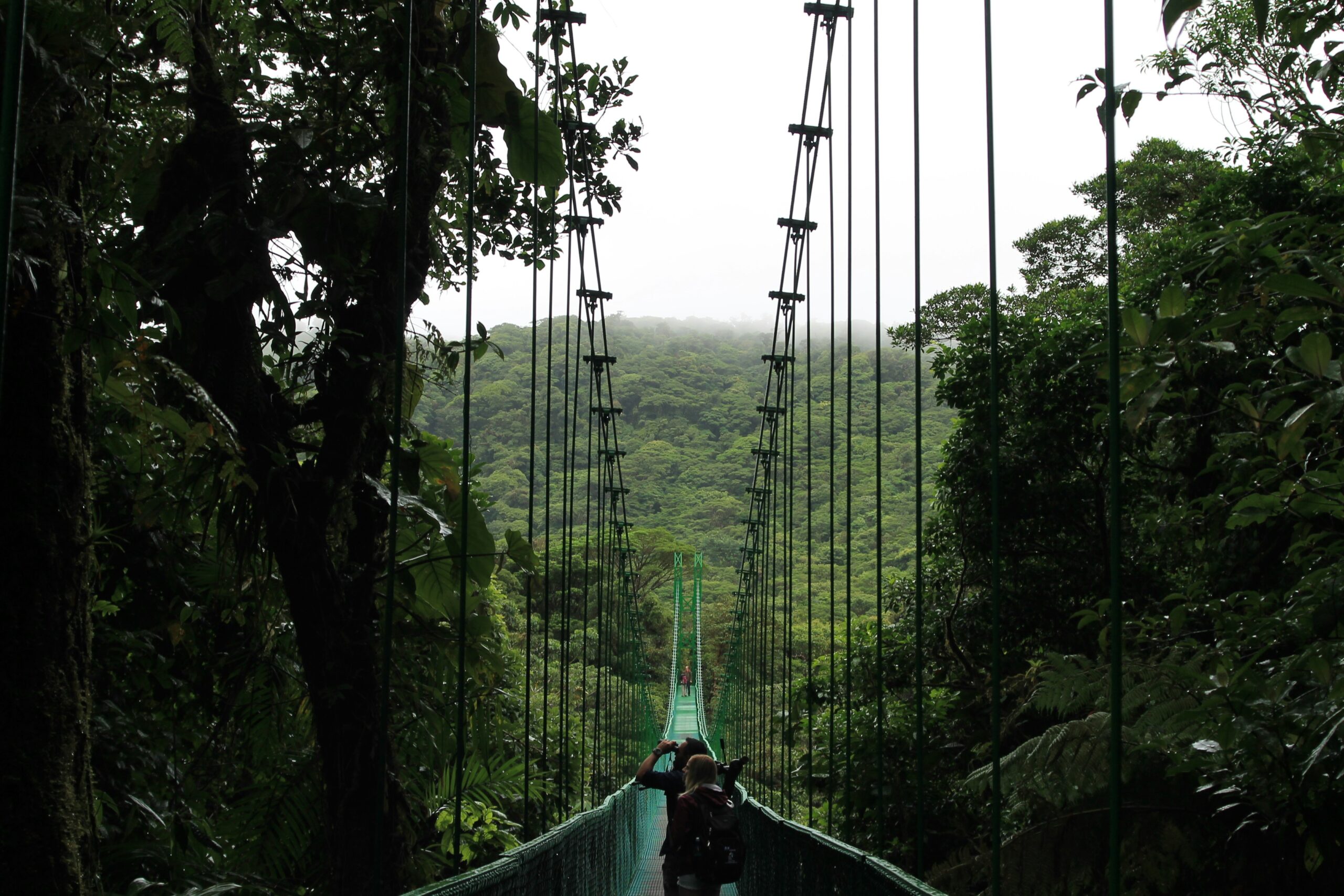 These are the most popular natural attractions in Costa Rica that travelers should visit in April. pictured: a large bridge in a national park of Costa Rica