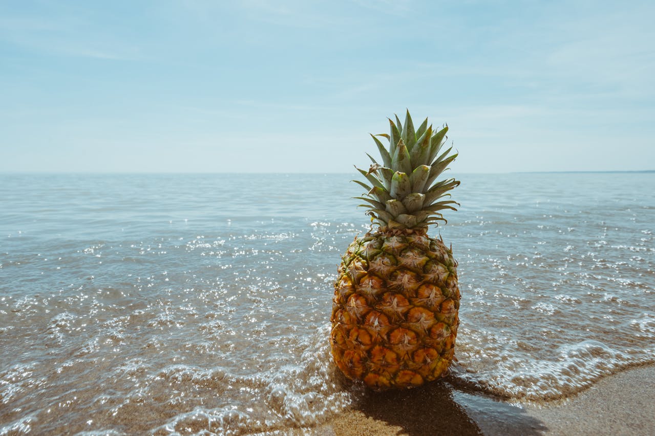 Do You Know The Taboo Meaning Of An 'Upside Down Pineapple' On A Cruise?