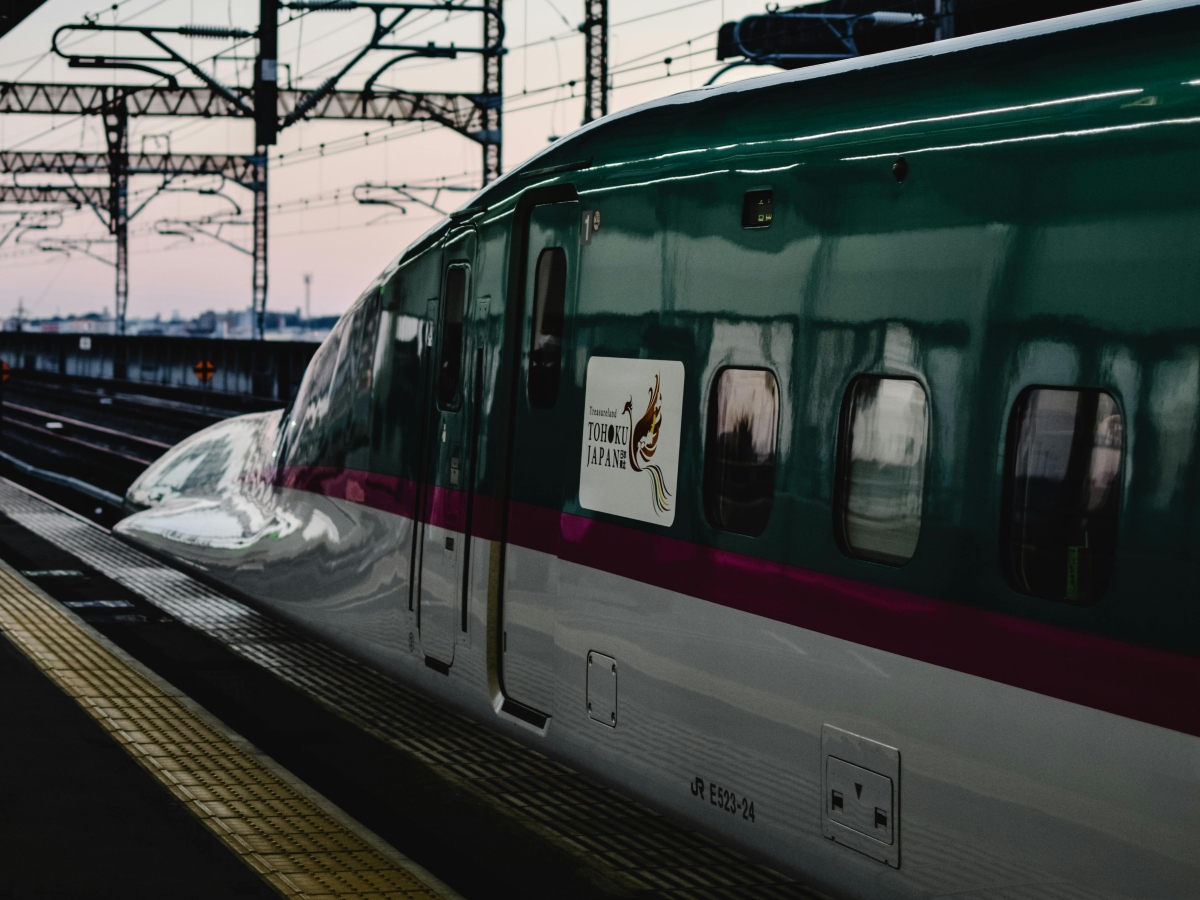 A Snake on a Bullet Train in Japan Caused a 17-Minute Delay for over 600 passengers