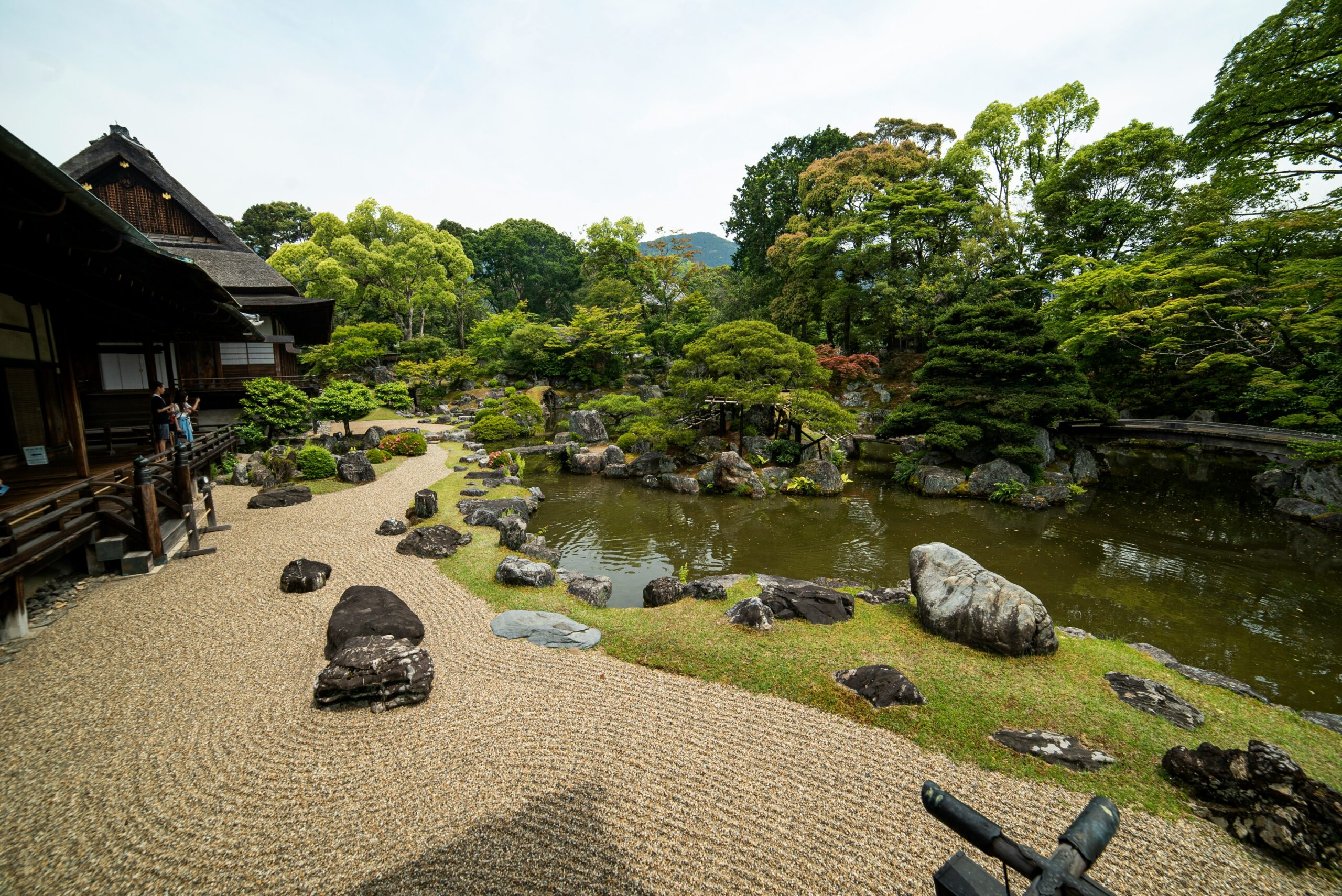 a Japanese garden with lush green shrubs and a pond