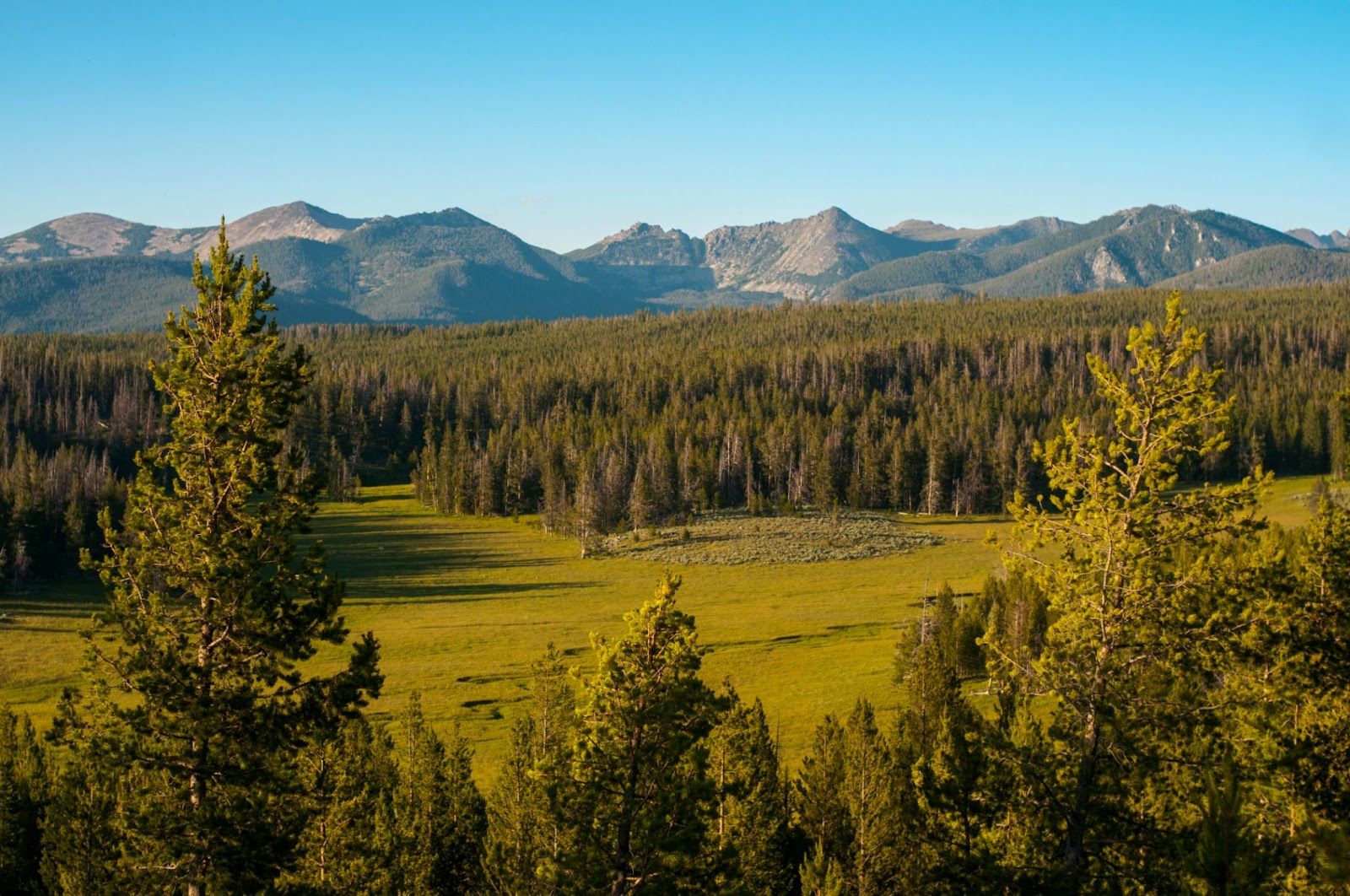The weather in Montana during September is a big appeal for travelers. 
pictured: a sunny Montana forest