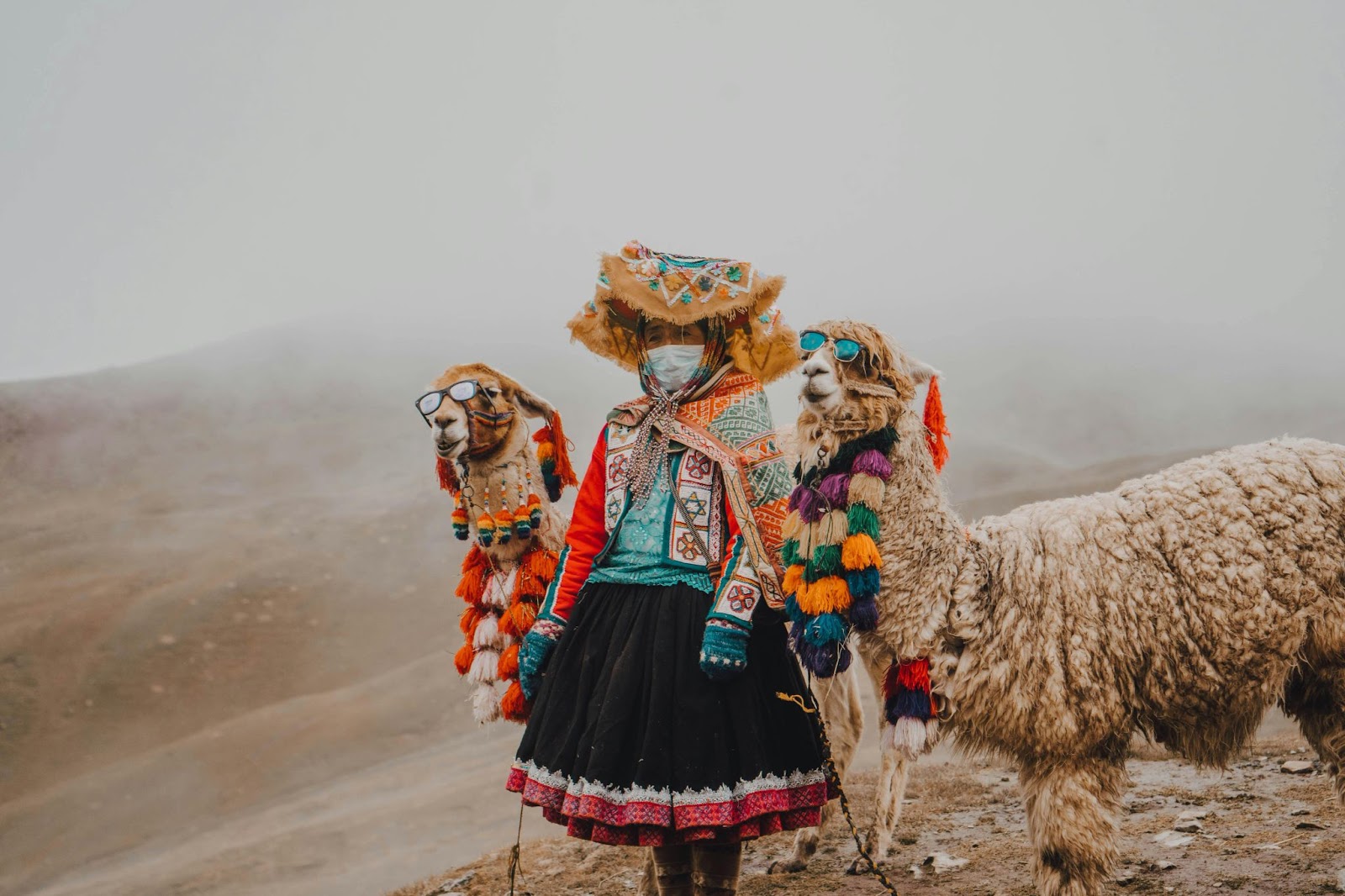 a Peruvian woman and two llamas