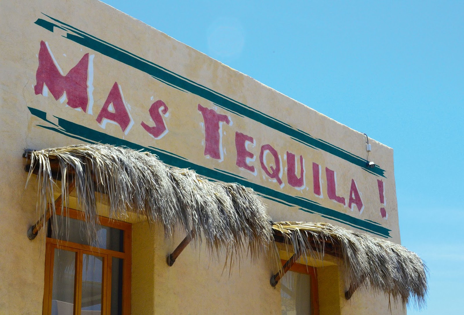 Tequila tours are a very popular excursion for travelers coming to Cabo in May.
pictured: a building with the term "more tequila" on it in Cabo
