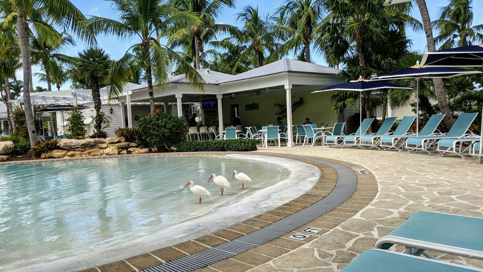 These luxury resorts are some of the best reasons for travelers to visit the Florida Keys.
pictured: a resort in the Florida Keys