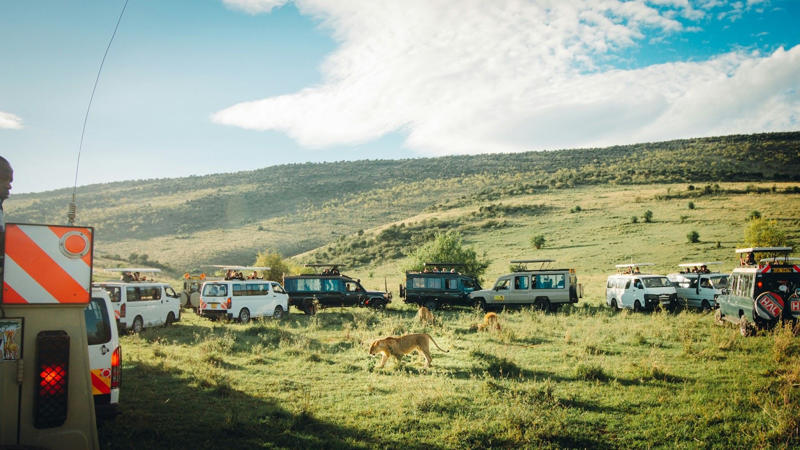 Safaris are a cool experience for travelers particularly in July.
pictured: a group safari in Kenya