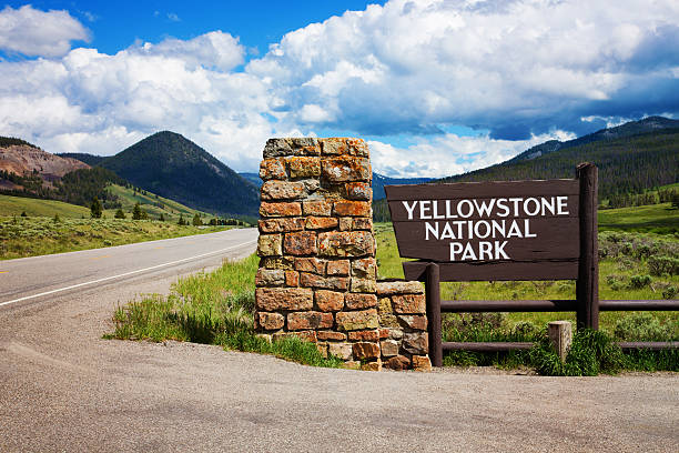 taking a trip to yellowstone national park
