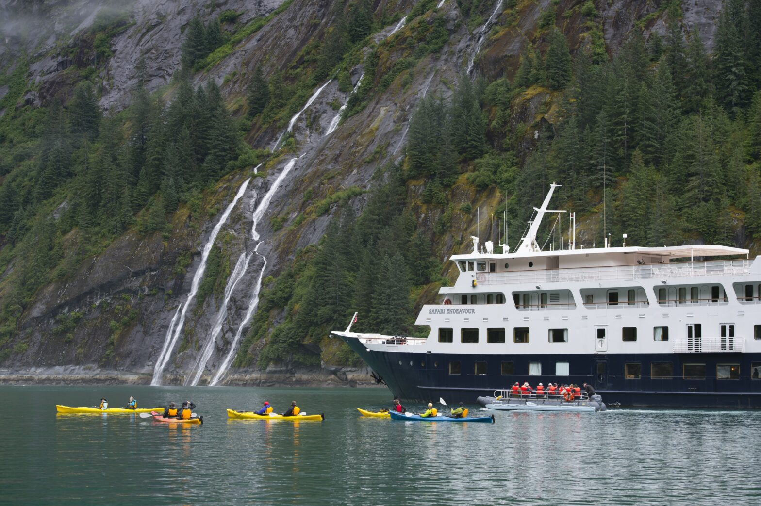 The Best Alaskan Cruise Line for Every Kind of Traveler
