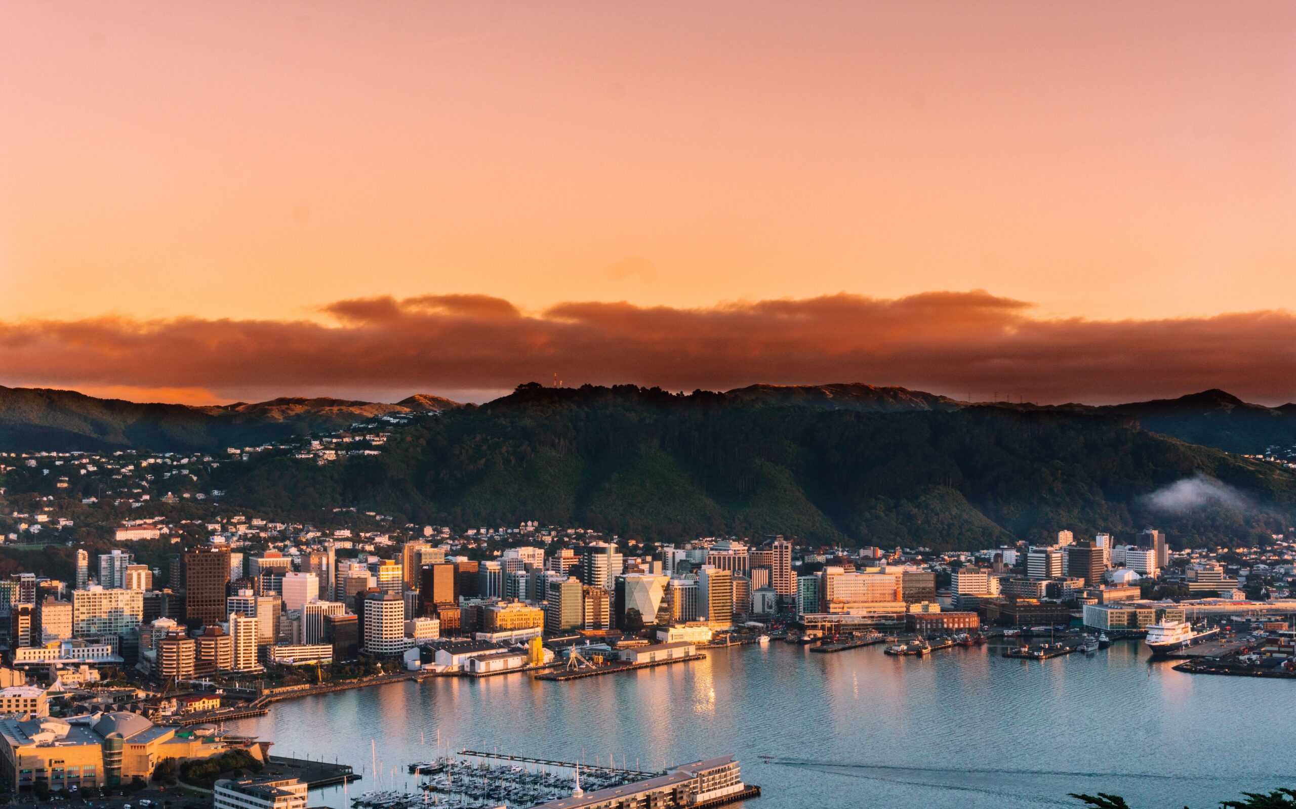 Pictured: evening sunset view on the mountainside of the city of Wellington, New Zealand