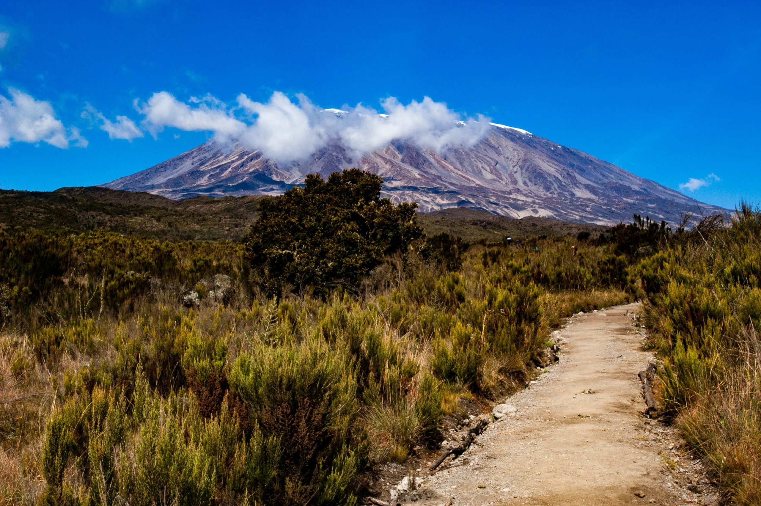 Travelers should hike Kilimanjaro during their July visit to Tanzania. 
Pictured: Kilimanjaro 