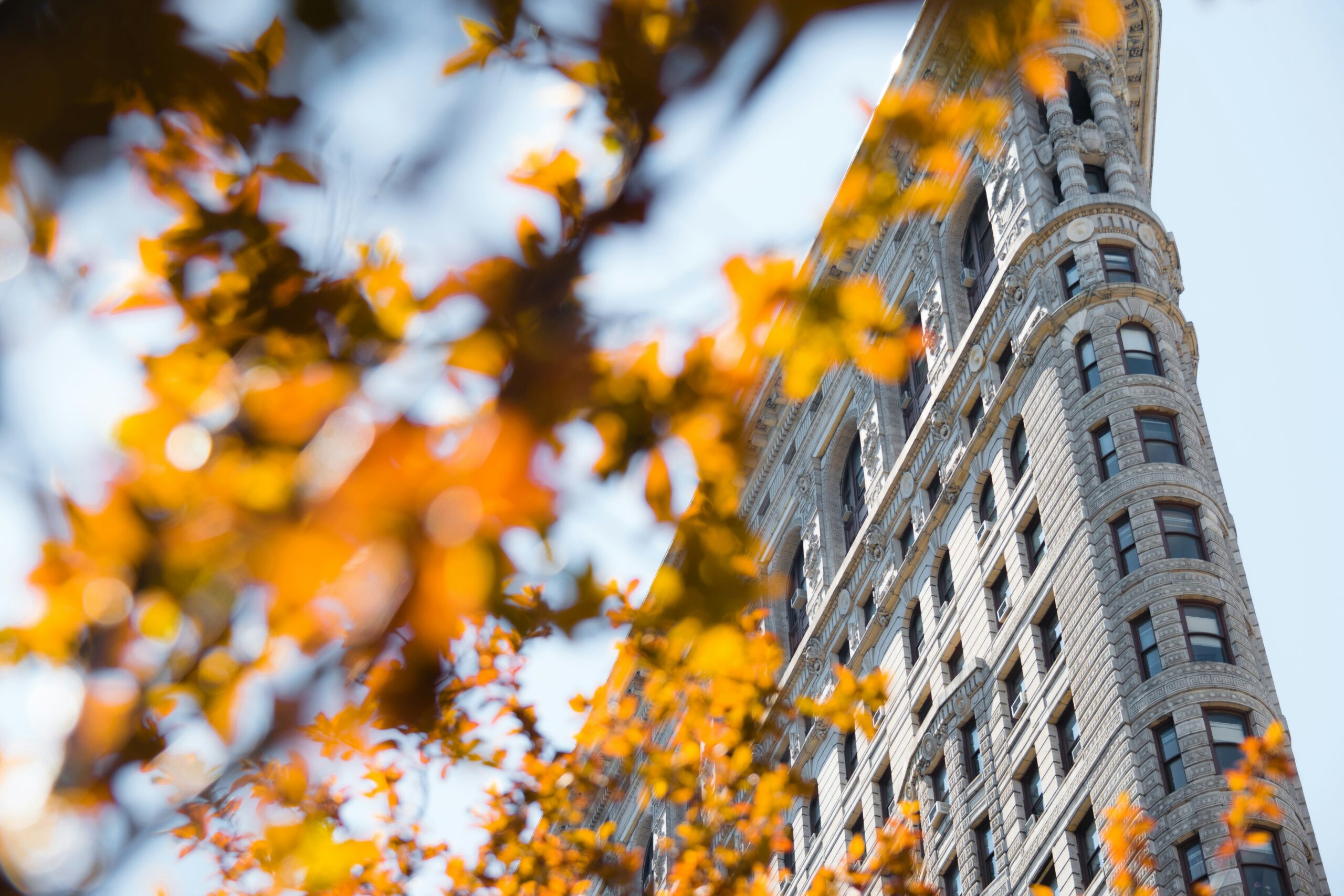 The weather in NYC during fall is one of the reasons it is the best time to visit. 
Pictured: NYC in fall