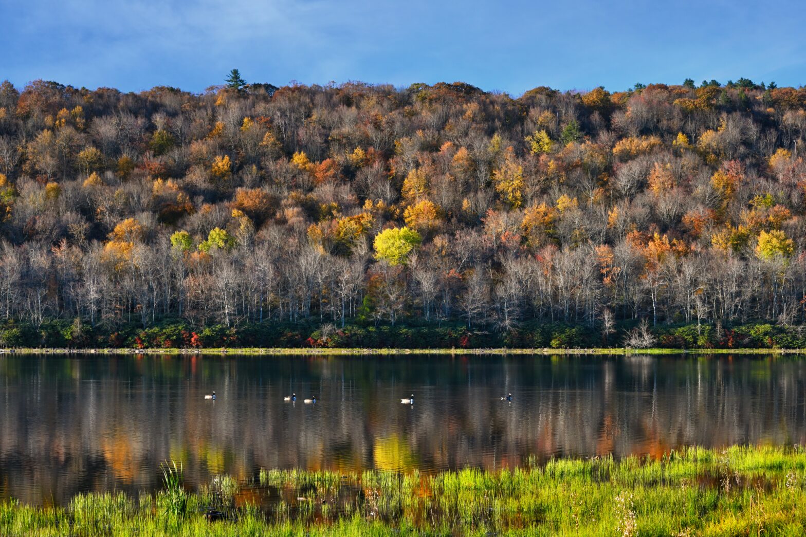 10 Things To Do In The Poconos For $25 Dollars Or Less