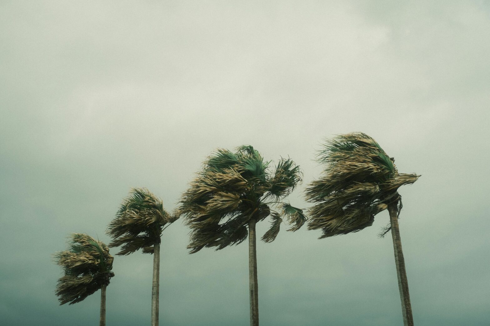 Hurricane Beryl Kicks Off Intense Predicted Storm Season — Here's What Travelers Should Know
